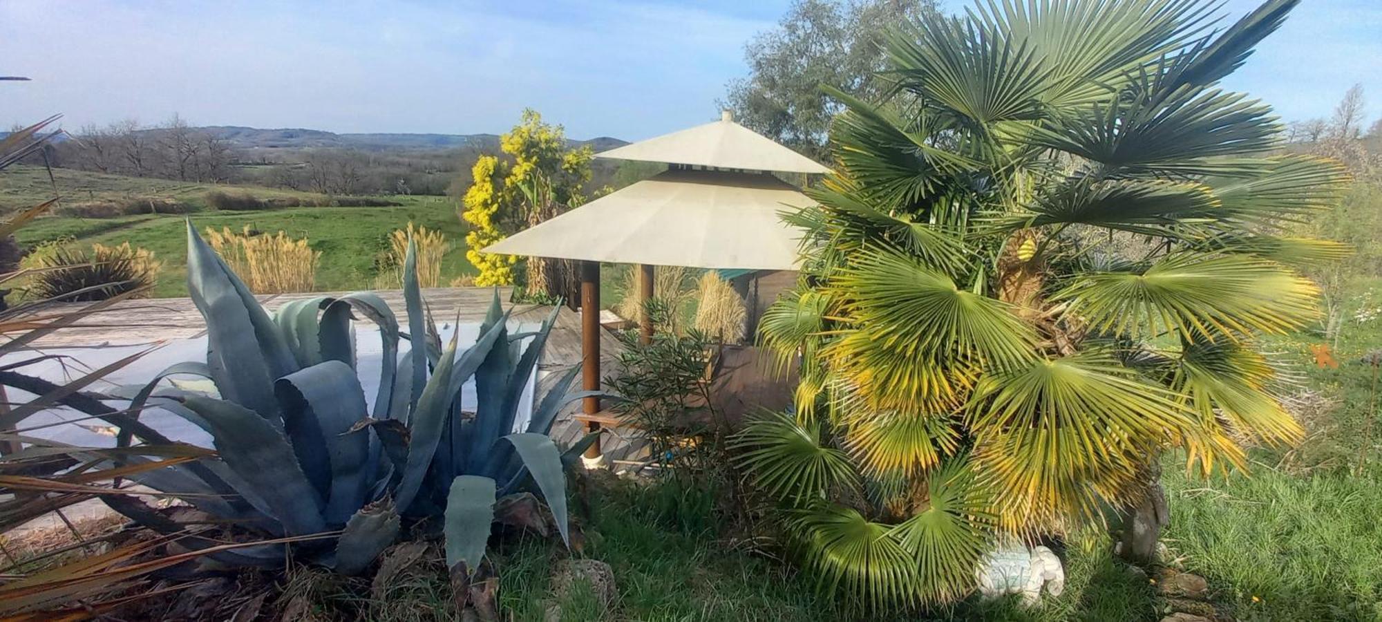 Un Parfum De Thailande, Ressourcement Et Massages Curemonte Exterior foto